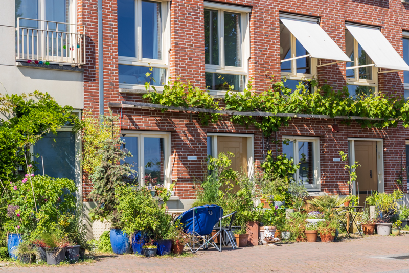 Urban greening in Rotterdam The Netherlands